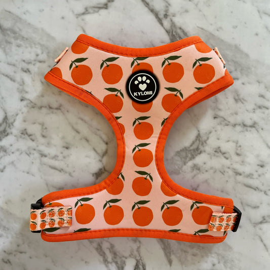 Orchard Orange Neoprene Dog & Puppy Harness 2-11kg