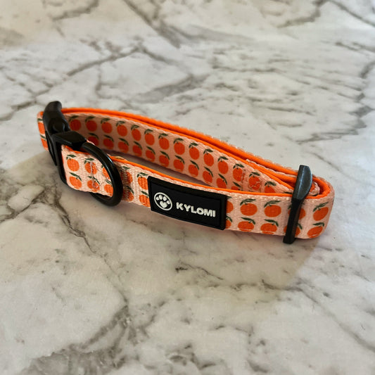 Orchard Orange Dog & Puppy Collar