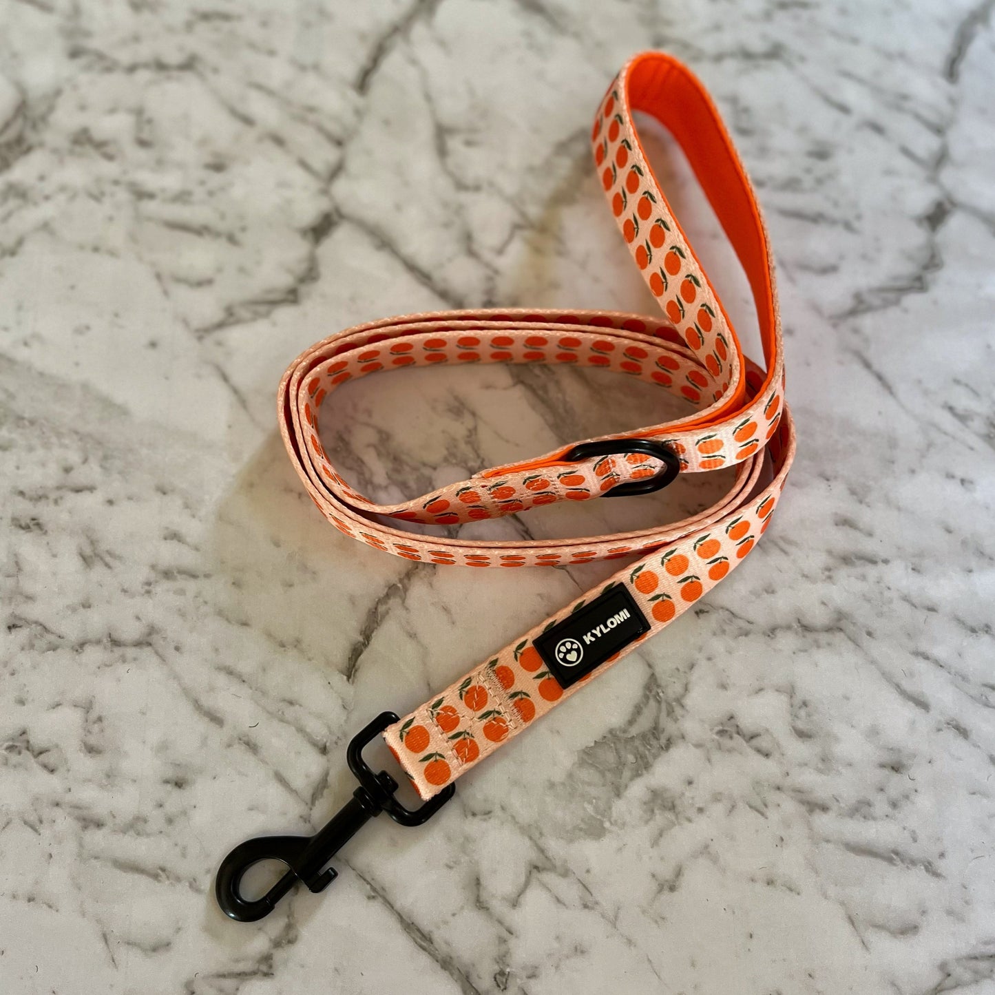 Orchard Orange Leash