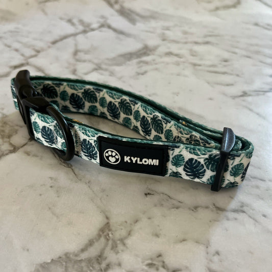 Magical Monstera Dog & Puppy Collar